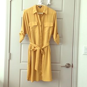 Express Sz L Shirt Dress